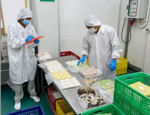ตลาดขายส่งขนมจีบในประเทศไทย โอกาสของธุรกิจอาหารยุคใหม่