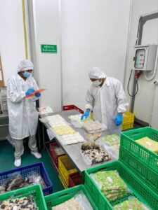 โรงงานขนมจีบราคาส่ง ทางเลือกสำหรับร้านอาหารที่ต้องการลดต้นทุน